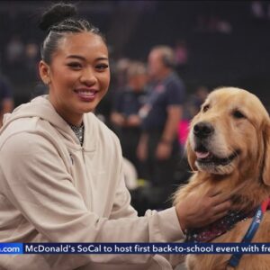 Pasadena therapy dog provides comfort to U.S. Olympic gymnasts