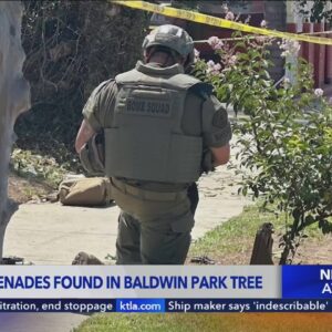 Russian grenades found in Baldwin Park tree