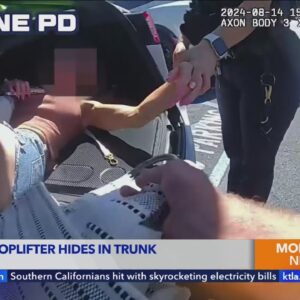 Shoplifting suspect caught hiding in trunk of car