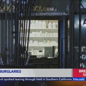 Thieves targeted South Bay pharmacy for codeine, owner says; Beverly Hills pharmacy also hit 