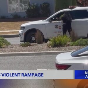 Woman goes on violent rampage in Gardena