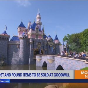 Disneyland lost and found items to be sold at discounted prices at Goodwill
