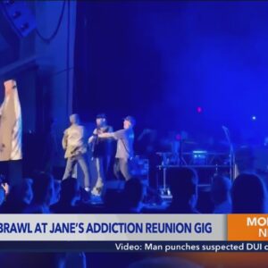 Bandmates brawl at Jane's Addiction reunion gig