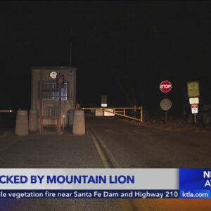 Boy attacked by mountain lion Malibu Creek State Park