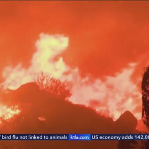 Line Fire reaches 3,330 acres in San Bernardino County; prompts evacuation warnings