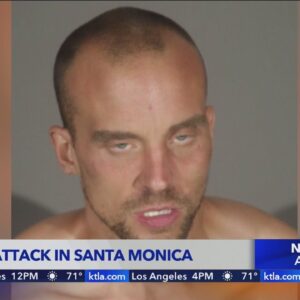 Homeless man arrested for violent attack at Santa Monica Beach 