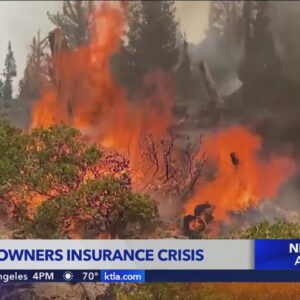 Homeowners insurance crisis amid increased wildfire risk