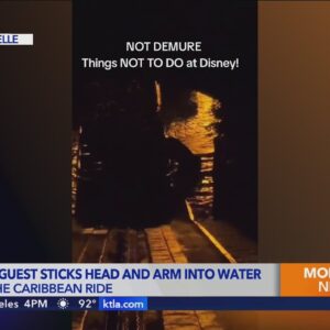 Video shows Disneyland guest sticking head and arm into water on classic ride