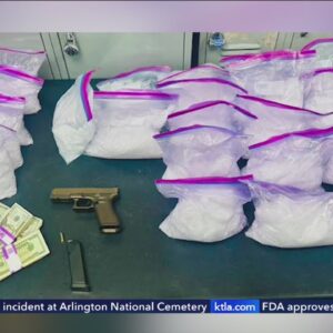 LAPD drug bust turns up 43 pounds of crystal meth, handgun, cash 