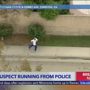 Man leads police on wild chase through Los Angeles, later caught