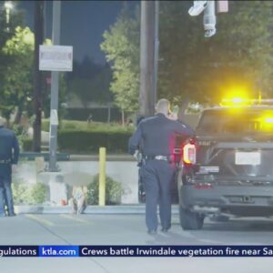 Toddler found wandering through McDonald’s parking lot in Los Angeles 