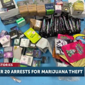 Over twenty people arrested in connection with multiple cannabis burglaries