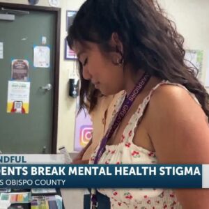 Local teens can now help the mental health of their community through a paid opportunity