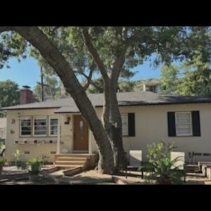 Woman lost home insurance over a tree CA city says she can't remove