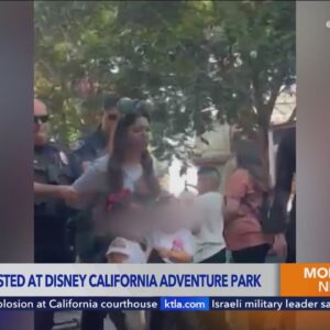 Woman with 2 young children arrested at Disneyland Resort