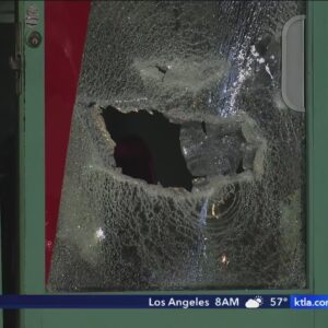 3 adjacent North Hollywood businesses targeted by burglars 