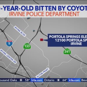 Boy, 10, bitten by coyote while riding bike in Irvine