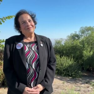 CA State Assembly District 37 Candidate Candidate 2024: Sari Domingues