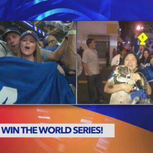 Dodgers fans celebrate their win live from Yankee Stadium