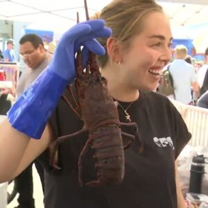 Fresh seafood for all at the Santa Barbara Harbor and Seafood Festival