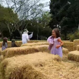 The Santa Barbara Zoo gets ready for Boo at the Zoo with Dr. Frogenstein