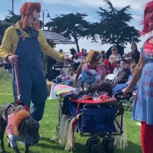 Homemade costumes win big at Howl-O-Ween contest in Ventura Harbor