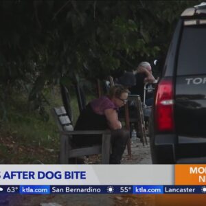 Infant dies after being bitten by dog in Torrance