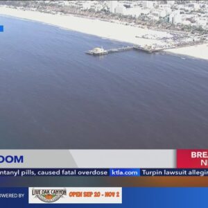 Large algae bloom spotted off Santa Monica Pier 