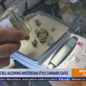 Newsom signs bill legalizing ‘Amsterdam-style’ cannabis cafes