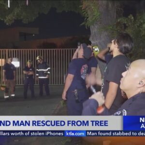 Parrot and man rescued from tree in Orange County