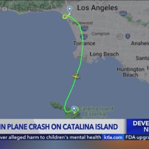 Plane crashes on Catalina Island, killing all 5 people on board