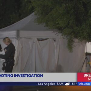 Police investigate pair of deadly Los Angeles neighborhood shootings