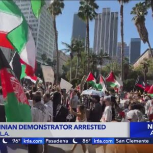 Pro-Palestinian demonstrator arrested in downtown L.A.