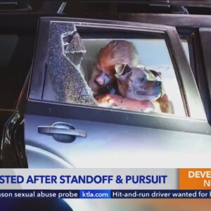 Pursuit suspect exits SUV with dog in arms, ending standoff