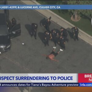 Pursuit suspect surrenders to police