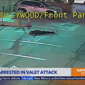 Arrest made in attack that critically injured valet at popular WeHo cafe