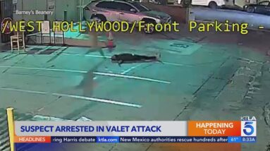 Arrest made in attack that critically injured valet at popular WeHo cafe