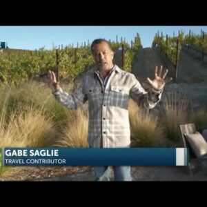 Travel Contributor discusses wine grape harvest season in Paso Robles with The Morning News