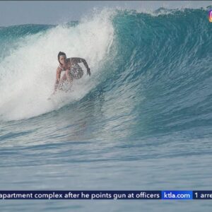 Surfer dies after being struck by swordfish