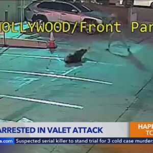 Suspect identified in brutal attack on West Hollywood valet