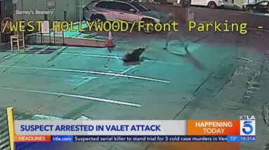 Suspect identified in brutal attack on West Hollywood valet