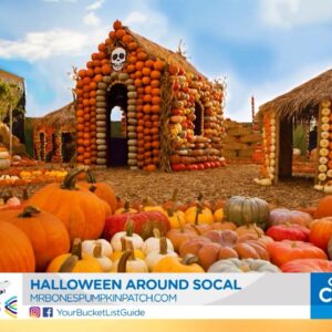 Travel Tuesday: Halloween around SoCal