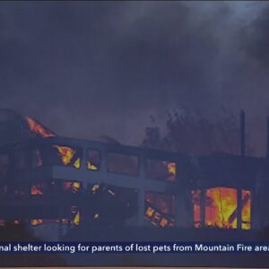 Crews get a break from wind, expand containment of Mountain Fire to 14% in Ventura County