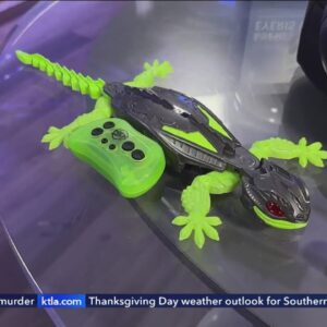 50,000 People Bought This Wall-Crawling Gecko Toy Last Month!