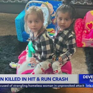 Girls, 3 and 4, killed by DUI driver in Rialto, police say