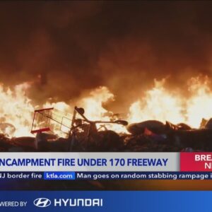 Homeless encampment erupts in flames under 170 Fwy