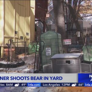 Homeowner in San Bernardino Mountains shoots, kills bear