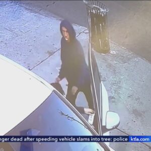 L.A. police searching for serial attempted carjacker