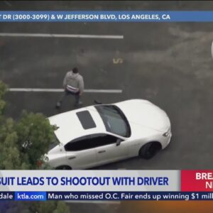 L.A. police shoot armed domestic violence suspect during pursuit