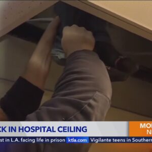 Man crawls into hospital ceiling, gets stuck